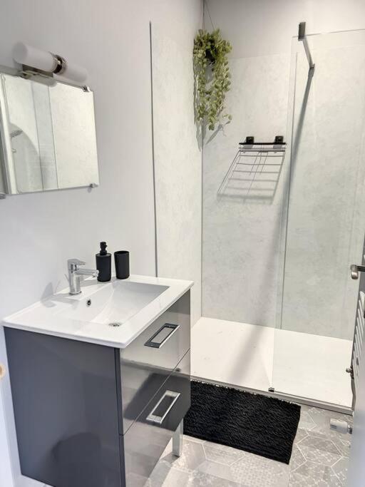 Appartement Proche Du Lac D'Allier Vichy Dış mekan fotoğraf